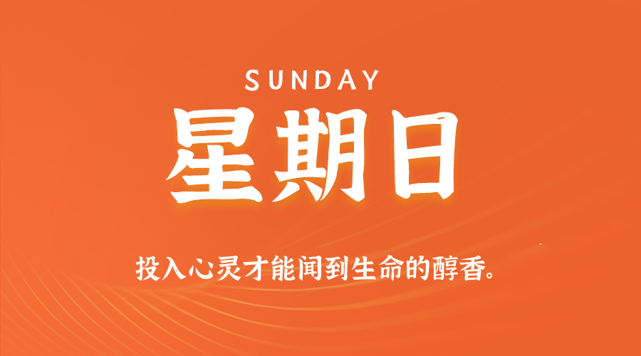 茶备案