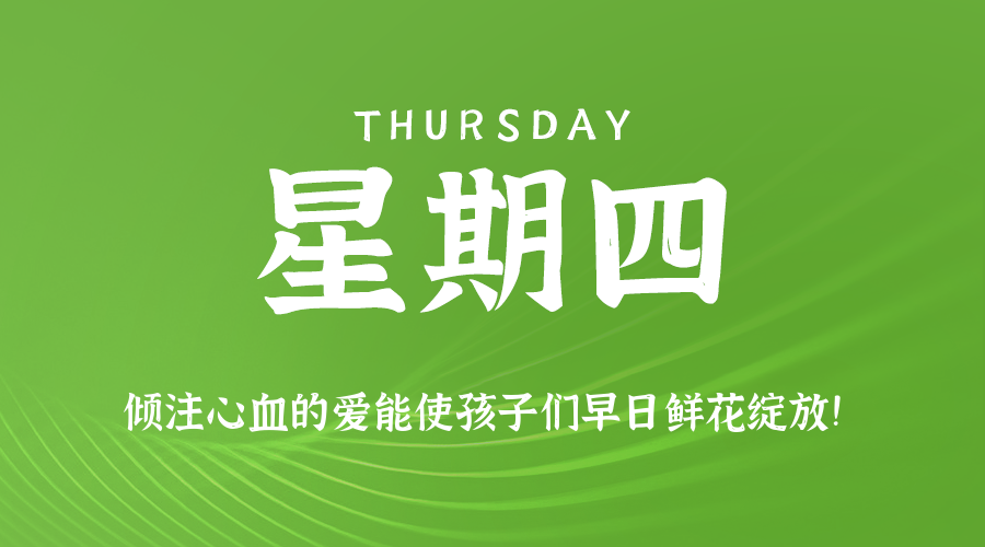 茶备案